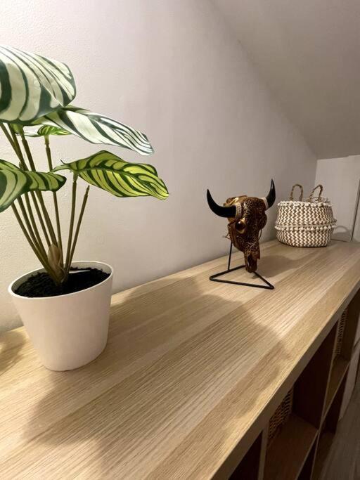Magnifique Duplex Avec Terrasse Proche De La Plage Málaga Exteriör bild